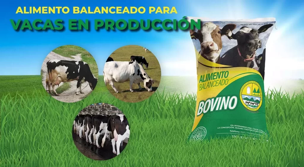 Concentrados balanceados para vacas en producción – Chiriquí, Panamá